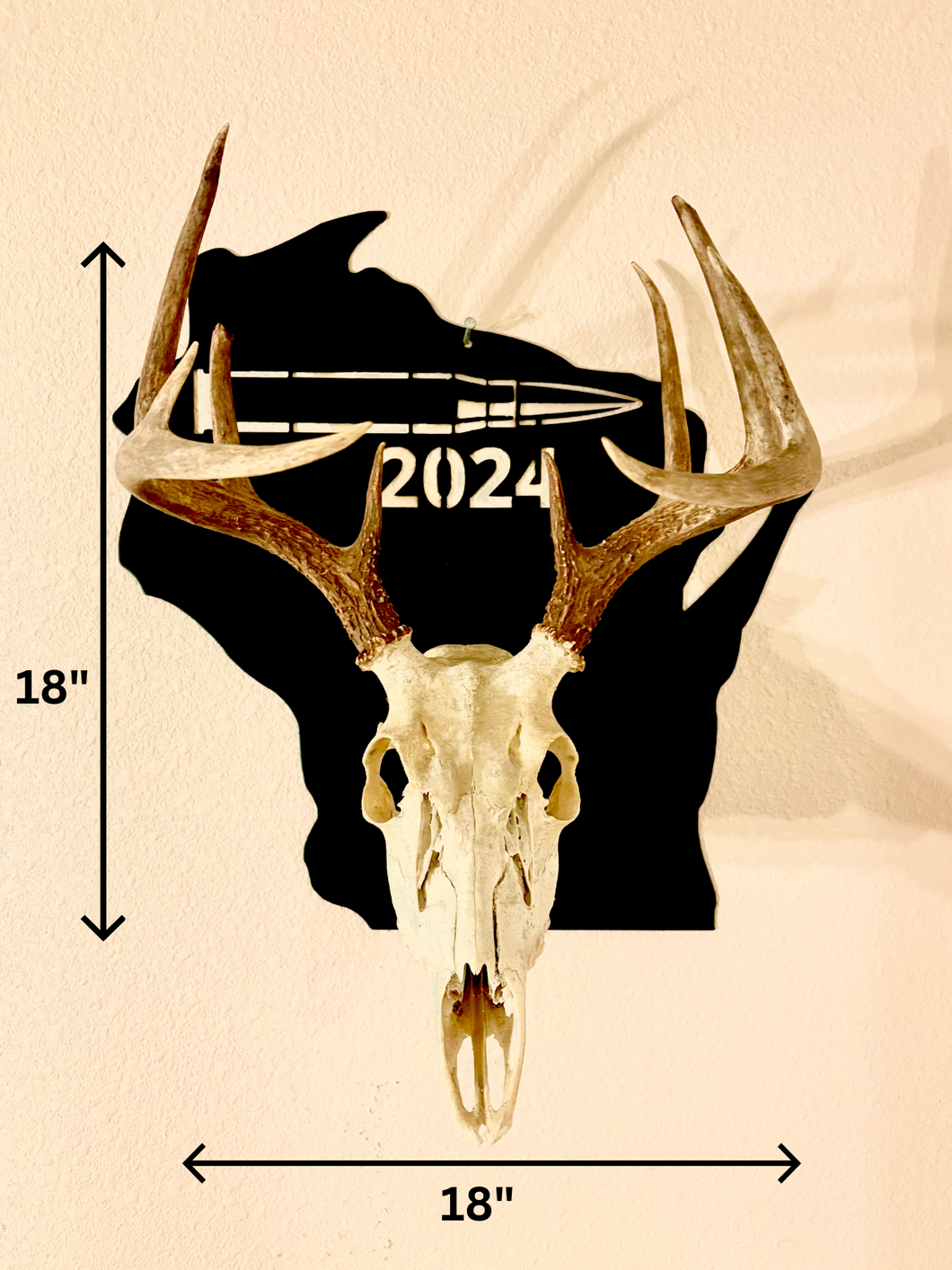 European Skull Mount Bullet (Wisconsin)