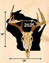 Load image into Gallery viewer, European Skull Mount Arrow (Wisconsin)
