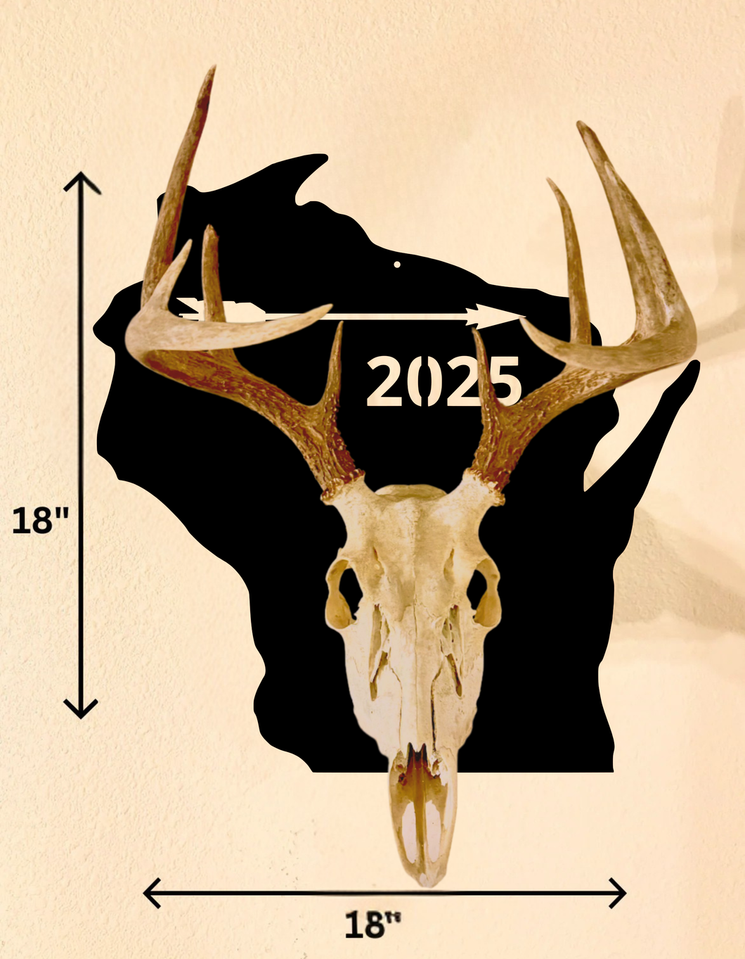 European Skull Mount Arrow (Wisconsin)