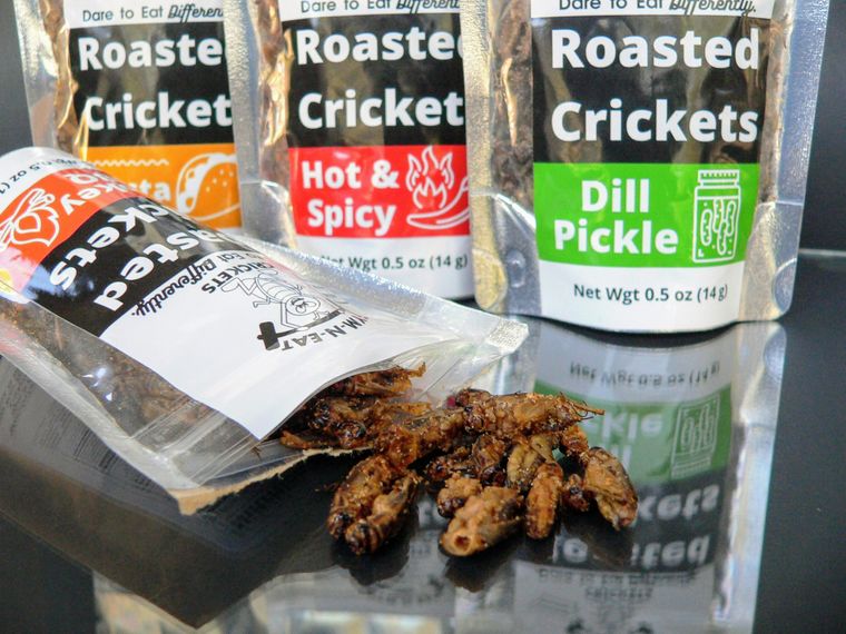 Roasted Crickets